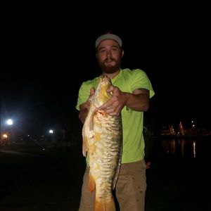 Meet your Posher, Colby